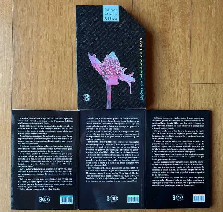 "Lições de Sabedoria do Poeta" de Rainer Maria Rilke