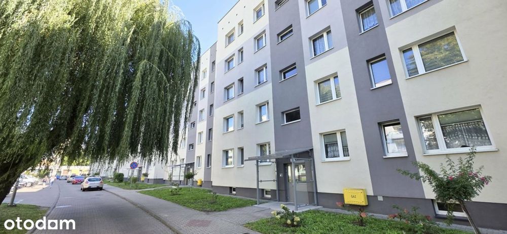 Zdjęcie 5