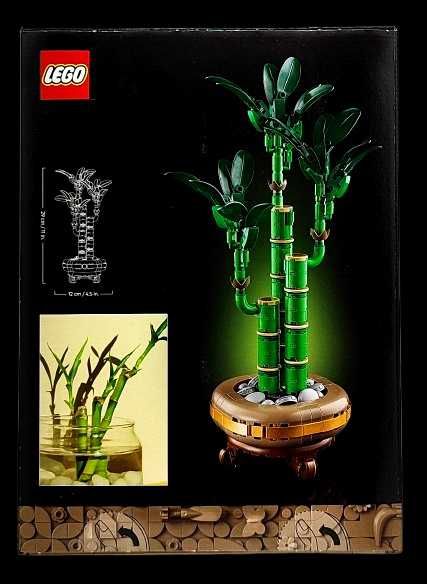 LEGO Dracena sandera Botanicals 10344