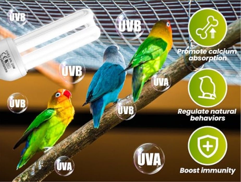 Лампа GlowUp UVA UVB для птахів 2.4 UVB 20W компактна люмінесцентна лампа для всіх видів птахів у неволі