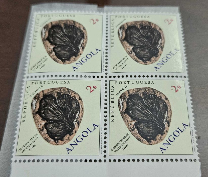 Selos de Angola, maravilhosos.