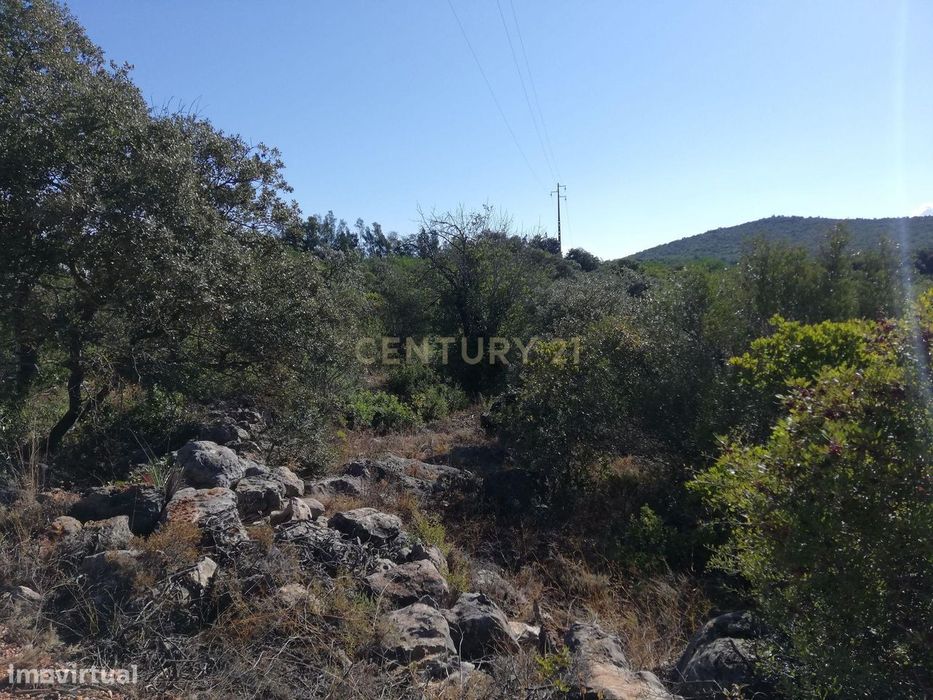 Terreno Rustico — Boliqueime, Faro