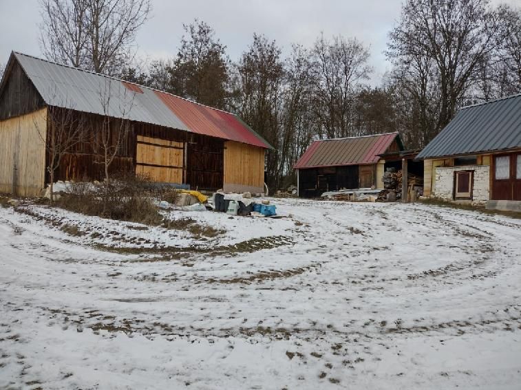 Sprzedam dom z zabudowaniami gospodarczymi i polem rolnym - Widok 4