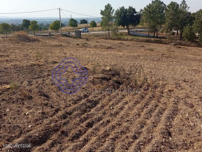 Terreno com 7.050m2 para a construção até 4 moradias, perto de Tomar n