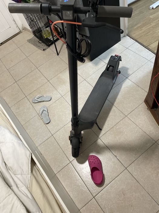 Trotnet em bom estado