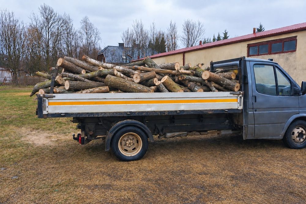15 jesionów jesion Drzewo drewno na opal metry z transportem