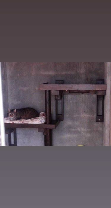 Hotel canino e felino - alojamento para cães e Gatos em coimbra