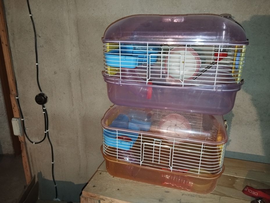 Gaiolas para amesters