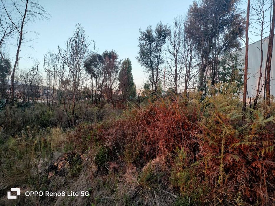 Terreno para construção Zona industrial de Albergaria -a-Velha