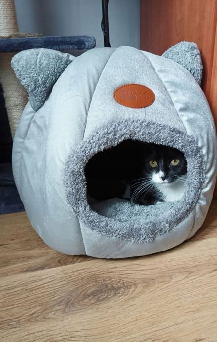 Domek, legowisko dla kota