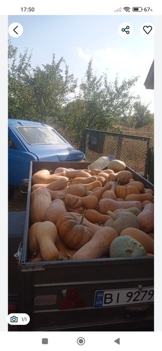 Сік гарбузовий 100 відсотковий сік.