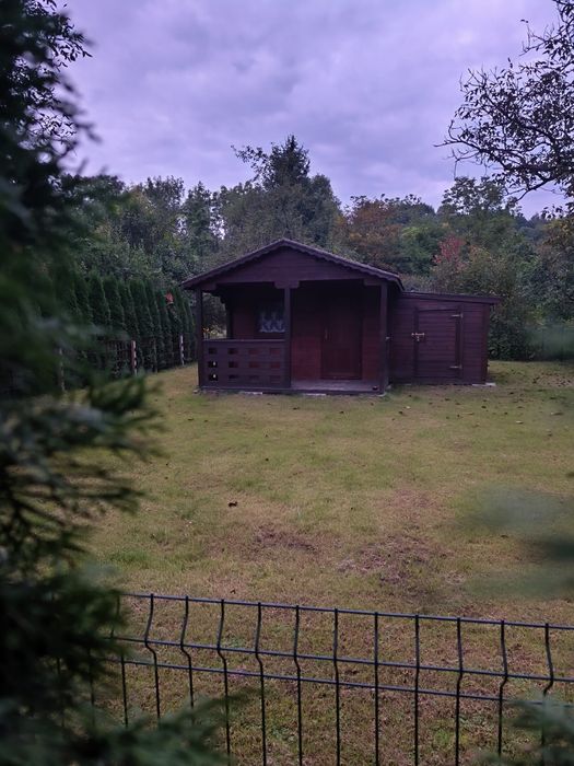 Zdjęcie 2
