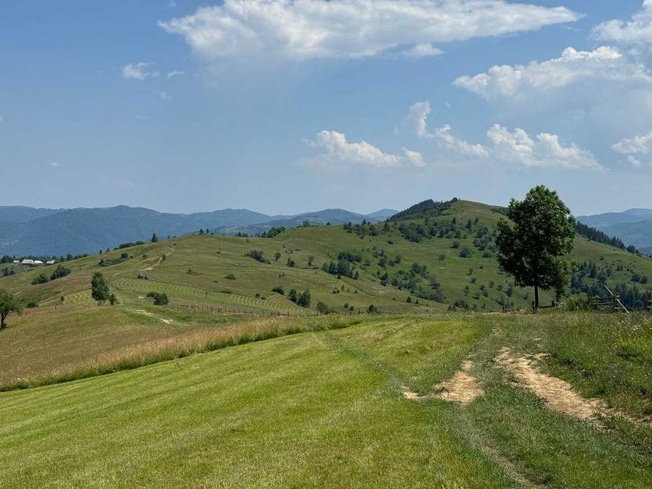 Продаж ділянки, 46 сот.с.Верхній Ясенів-Писаний Камінь.(є відео).