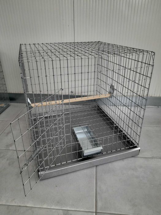 Gaiola papagaios quarentena