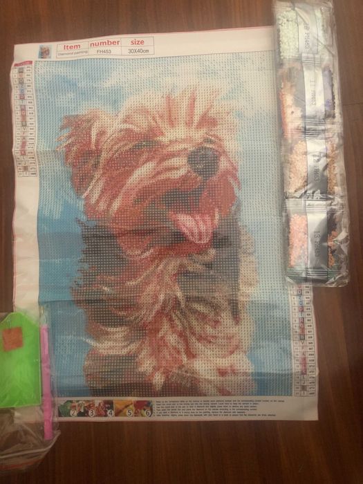 Yorkshire Diamond Painting Kit (New)