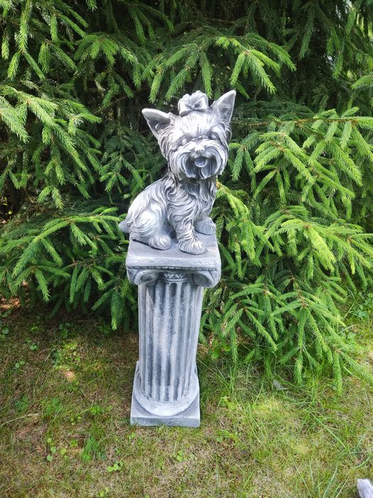 Figur pieska york yorka betonowa figura okazja