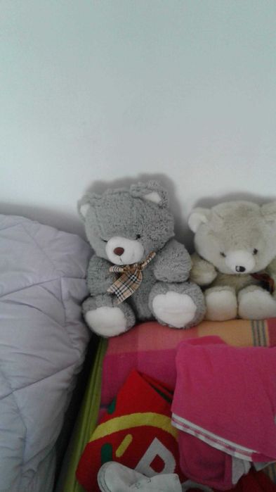 Peluches vários tamanhos64862443444610124