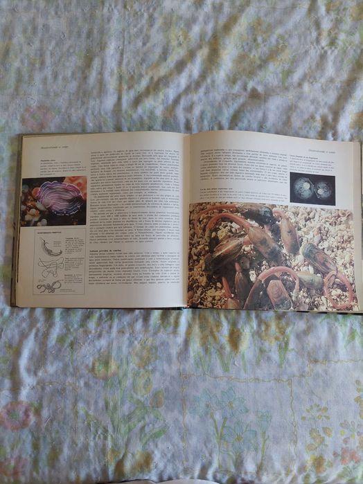 A Vida na Terra - David Attenborough