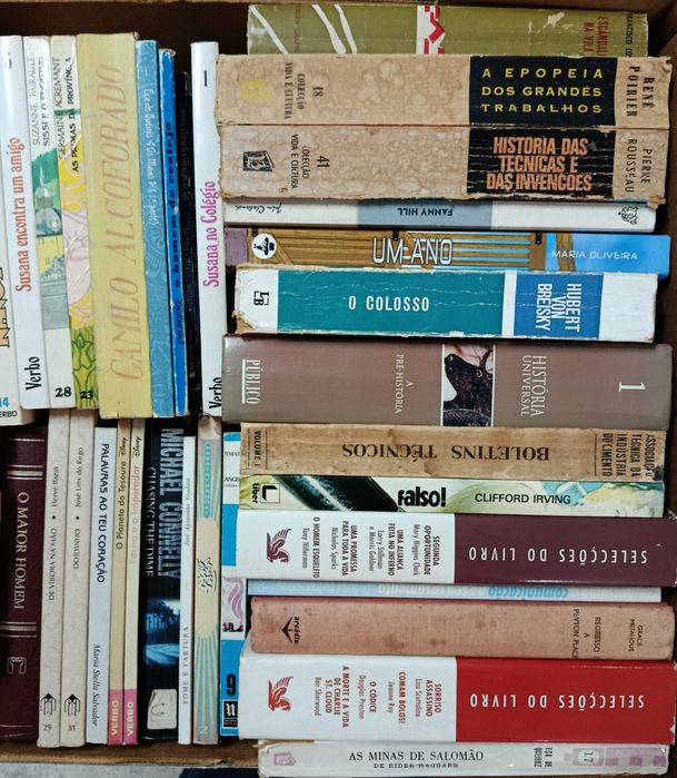 Lote  de  Diversos  LIVROS  Usados ( 1 ) Velharias