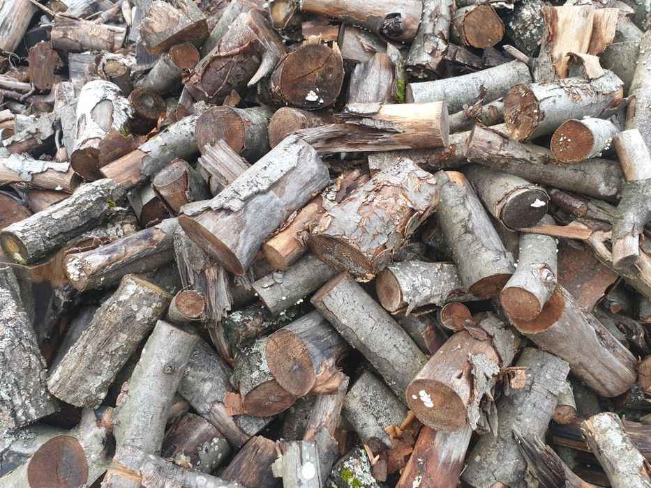 Opał  na zimę buk suchy