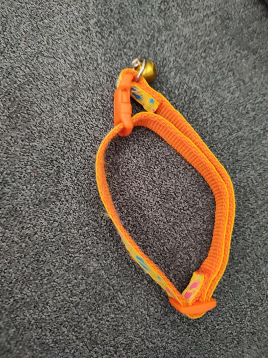 Obroża dla psa lub kota