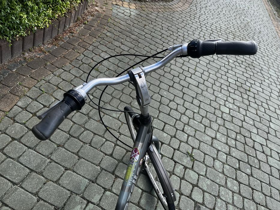 Rower holenderski gazella