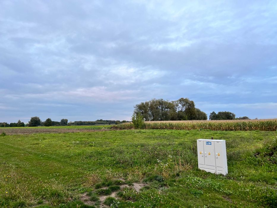 Działka z pozwoleniem na budowę Dębówka gm. Błonie - Widok 2