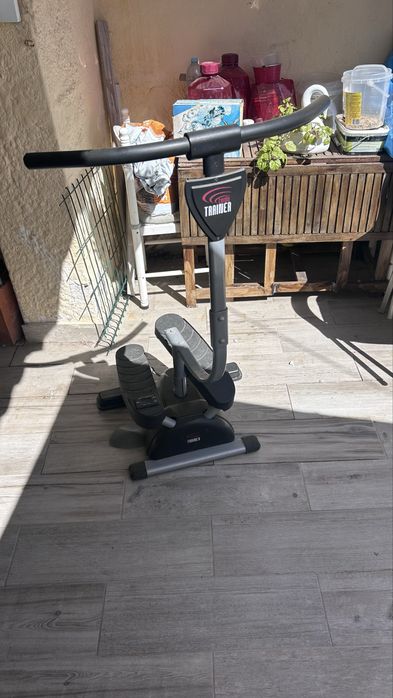 Cardio Twister !