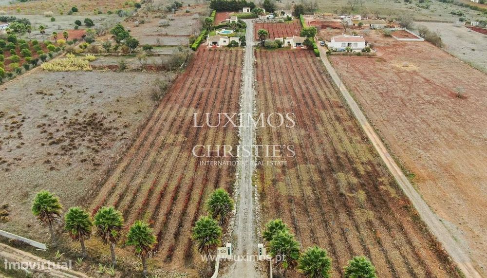 Propriedade com 3 moradias rodeadas de vinhas, Praia da Luz, Lagos