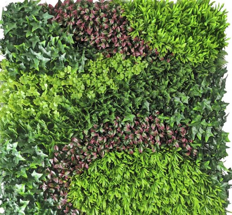 Jardim Vertical - COSTA