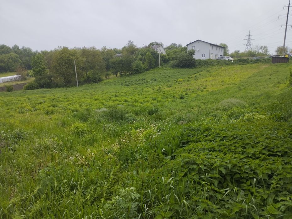 Продам земельну ділянку під будівництво 39 сот. С. Бармаки - View 4
