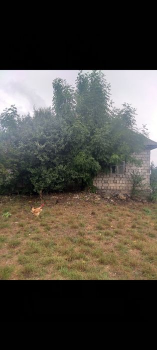 Продам хату з землею .