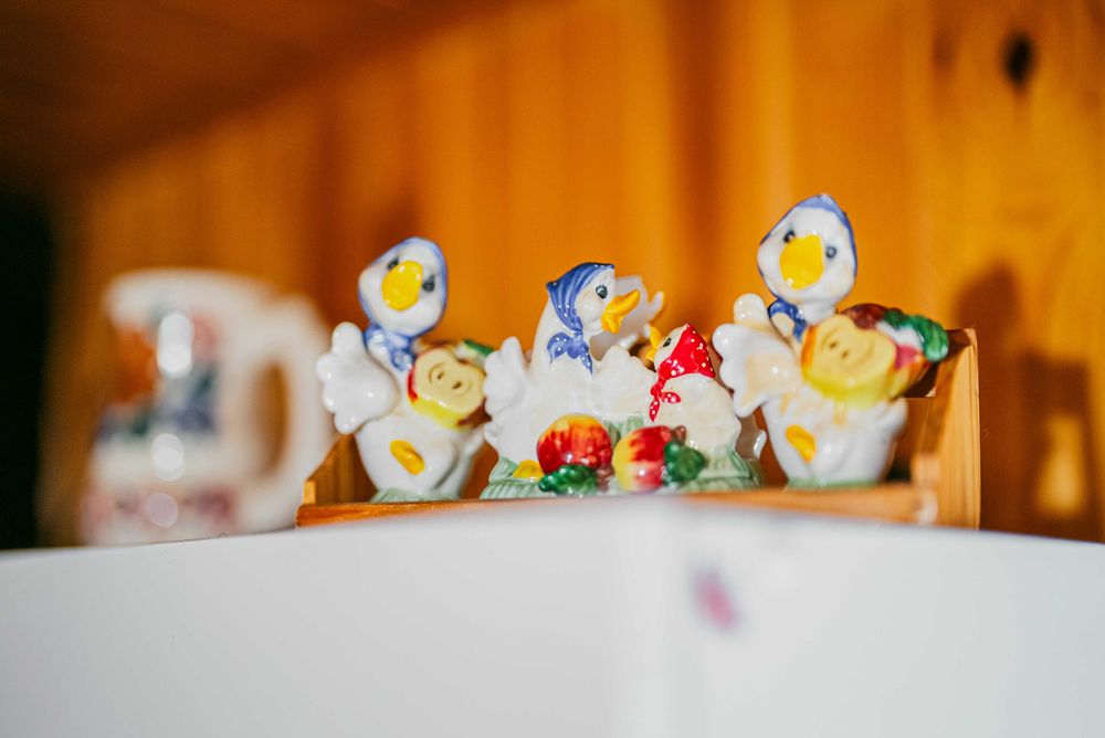 Zacisze leśne Julianka