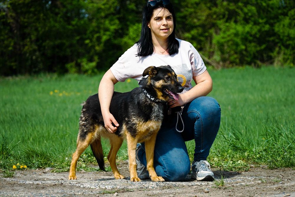 Mewa - śliczna suczka