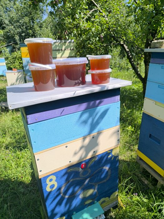 Мед (сади, акація, липа, різнотрав'я), свічки