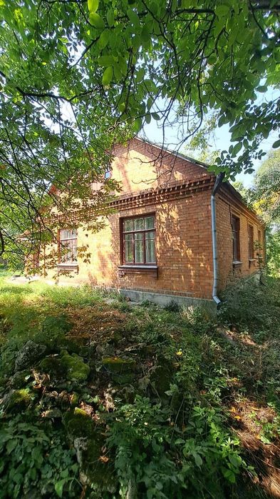 Цегляний будинок, поблизу два ставка. Житловий стан, ділянка 33сот. 45649