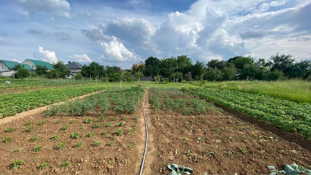 Продаж будинку в передмісті Ужгорода