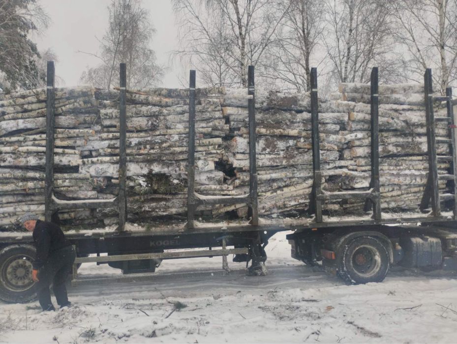 Продам дрова соснові