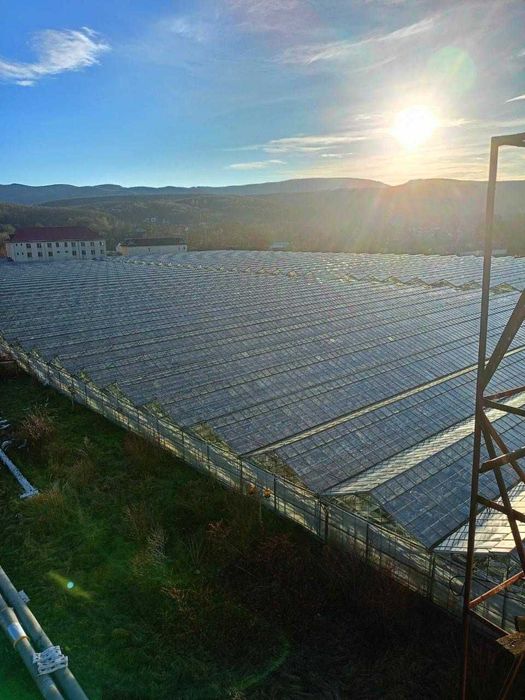 Продам Тепличний Комбінат в Івано-Франківській області