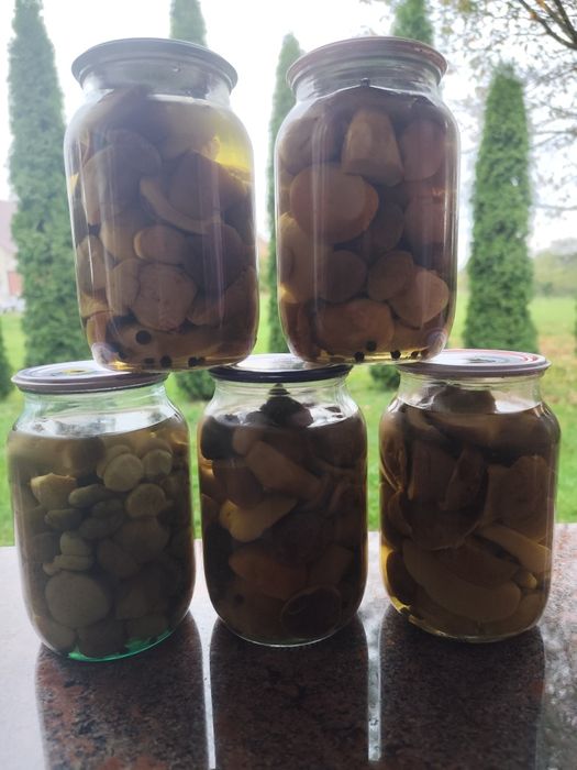 Мариновані гриби