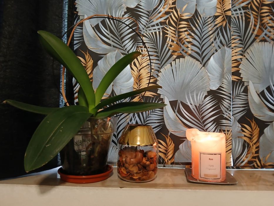 Servicos esteticos e massagens