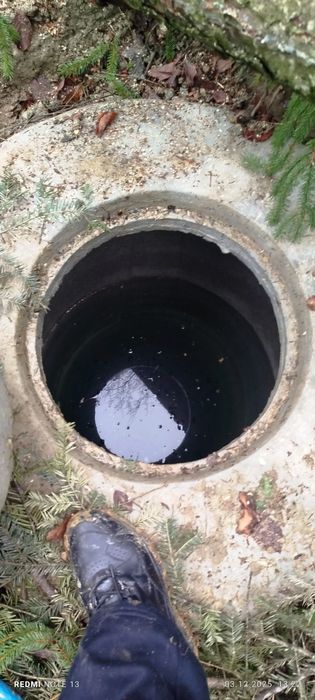 Будинок в Карпатах