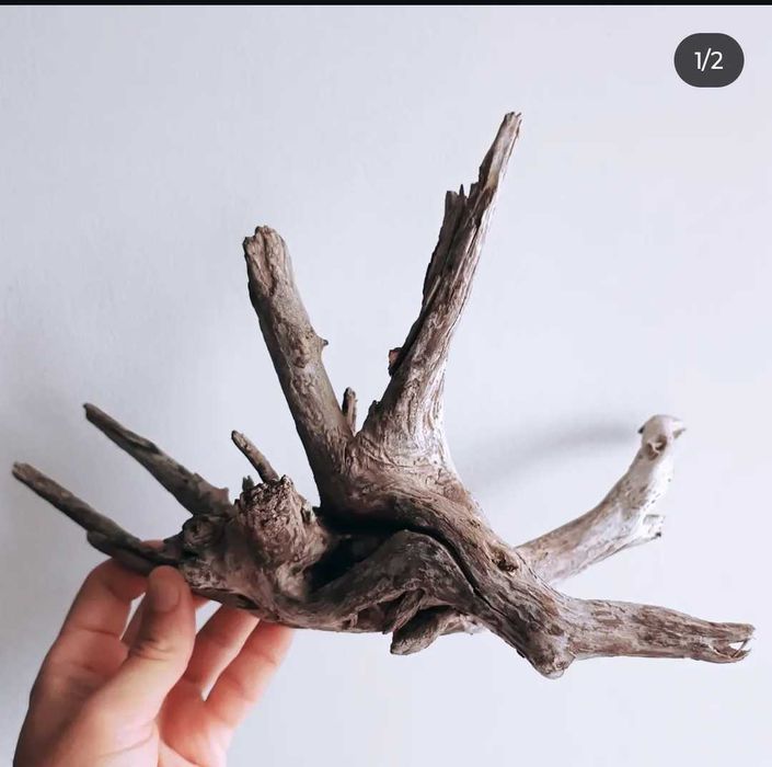 Корчі, коряги, декорації для акваріума/тераріума