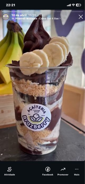 Açai 100% natural liofilizado