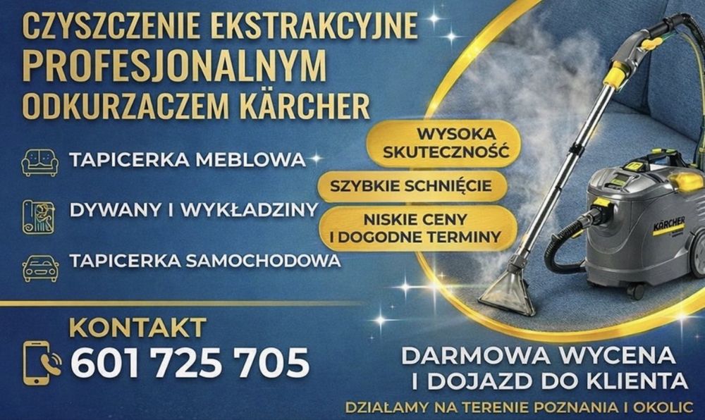 Profesjonalne Pranie Tapicerki i Dywanów Kärcher Poznań i Okolice