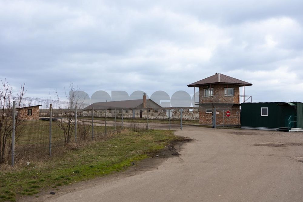 Продаж готового бізнесу, завод, Фастівський район