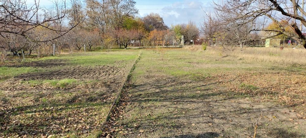 Дача, Соловьиная роща