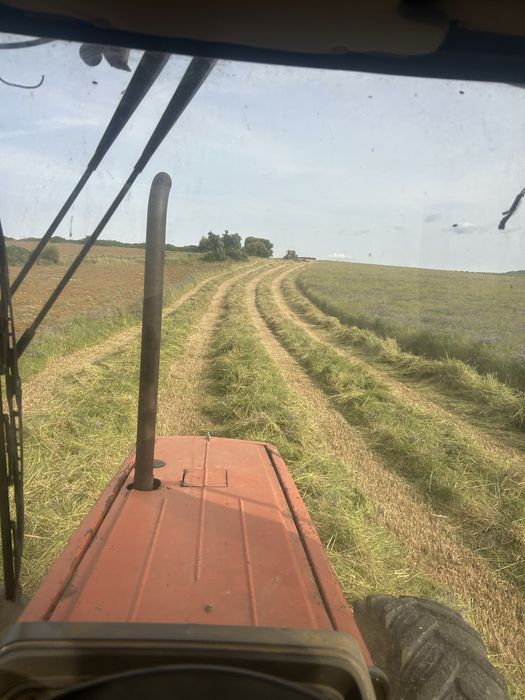 Fardos de feno e palha