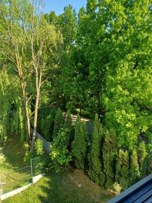 Zdjęcie 8