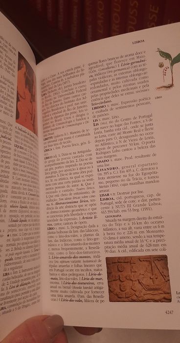 Enciclopédia Larrouse completa com 22 volumes